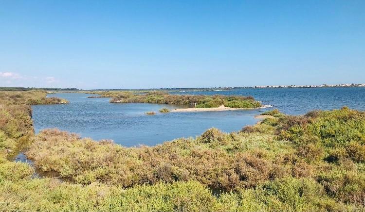 Le Nautica T2 Climatise En Bord De Apartment Frontignan